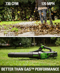 Heavy Hitter 80V Electric Leaf Blower With Brushless Motor, 730 CFM Airflow And 170 MPH Gust on grass blowing leaves.