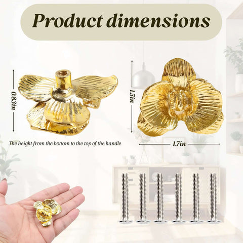 Dimensions of Six Piece Gold Cabinet Knobs Set with Flower Shape, zinc alloy shown with screws