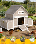 Large Outdoor Chicken Coop With Run For Backyard Poultry Nesting Boxes And Perches With Removable Tray Also Works As Rabbit Hutch