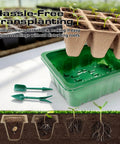 Seed Starter Tray Kit 10 Pack With Humidity Domes 120 Cells Total Germination Trays showing seedlings and gardening tools