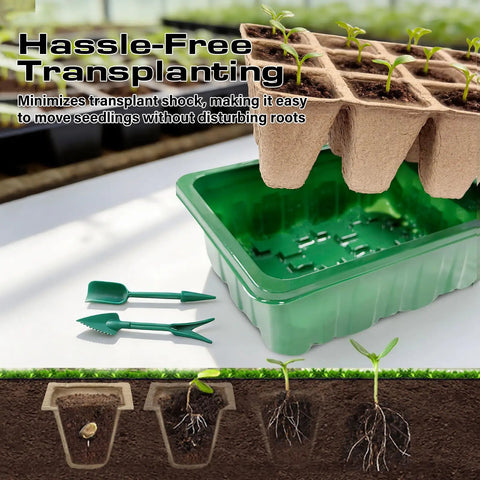 Seed Starter Tray Kit 10 Pack With Humidity Domes 120 Cells Total Germination Trays showing seedlings and gardening tools