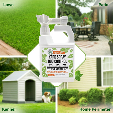 Peppermint Oil Lawn And Yard Bug Control Spray Pack Of 2 32 Oz All Natural Outdoor Pest Repellent for lawns, patios, kennels, perimeters.