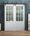 Felicia 3599 Bypass Barn Door Kit with clear glass and white solid wood panels, interior installation view, 84x96 inches classic style.