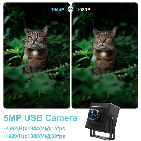 Image comparison of 5MP USB Camera With 180 Degree Fisheye Lens showing 1944P vs 1080P quality with cat in foliage.