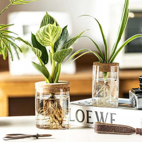 Dope Glass Propagation Stations For Plants Desktop Flower Vases Set Of Four With Two Large And Two Small Vases For Plant Cuttings