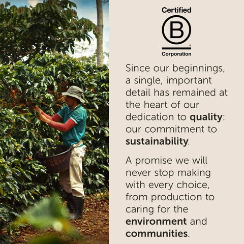 Person harvesting coffee beans with sustainability message next to Certified B Corporation logo.