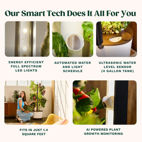 Vertical Hydroponics Garden System For Indoor Growing With Grow Lights Compact Smart Tower technology features