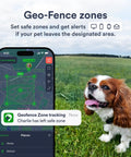 Dope Dog GPS Tracker With Real Time 4G LTE Location Tracking and Smart Geofence Alerts displayed on smartphone with happy dog.