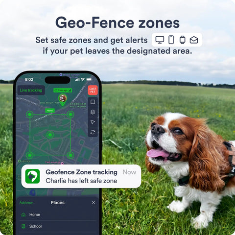Dope Dog GPS Tracker With Real Time 4G LTE Location Tracking and Smart Geofence Alerts displayed on smartphone with happy dog.