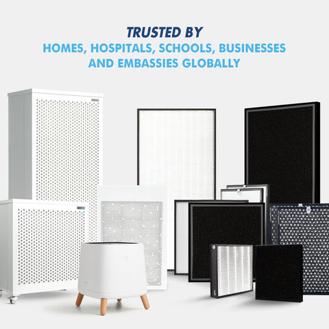 Replacement HEPA Filter for Blast Mini Air Purifier, True HEPA Filtration That Captures 99.97 Percent of Particles on display.