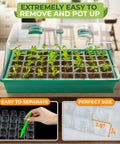 All In One Seed Starter Kit With 40 Cell Tray And Tall Humidity Dome Base Dibber Garden Scoop And Plant Tags For Easy Seed Germination Of Seedlings And Home Greenhouse Plant Propagation, showing seedlings in tray with dome.