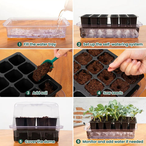 Self Watering Seed Starter Kit With Humidity Domes, Extra Thick Plastic 72 Cell Trays, 3 Pack For Easy Seed Starting, Germination And Seedlings setup steps.