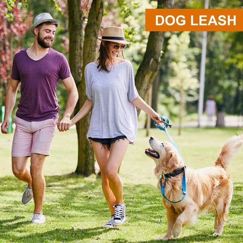Couple walking dog using Beefy 12kN Heavy Duty Carabiner Clips with Ultralight Screw Lock Locking Design for everyday use
