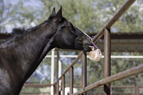 Horse licking Himalayan Salt Block On Rope For Horses 4.4 Pounds Natural Mineral Block For Equine Health Rich Iron Potassium Magnesium