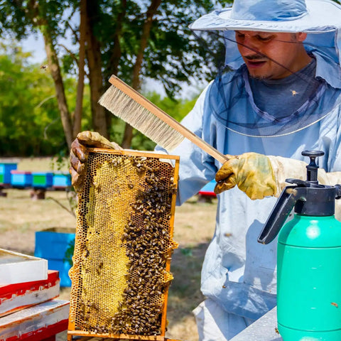 Beekeeper using Beekeeping Starter Kit with J Hook Hive Tool, Beehive Brush, Frame Lifter and Scraper, Stainless Steel 3 Piece Set.