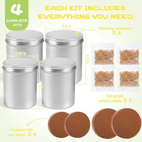 4 Pack Cat Grass Seeds Kit For Indoor Cats Easy Grow Cat Grass Kit With Fast Germination Natural Hairball Control