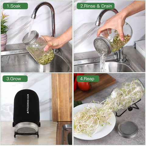 Sprouting Lids and Adjustable Jar Stands Kit for 86mm Wide Mouth Mason Jars Stainless Steel Sprout Lids for Organic Sprouts Broccoli Alfalfa and Mung Bean Set of Four shown in use for soaking, rinsing, growing, and harvesting sprouts.