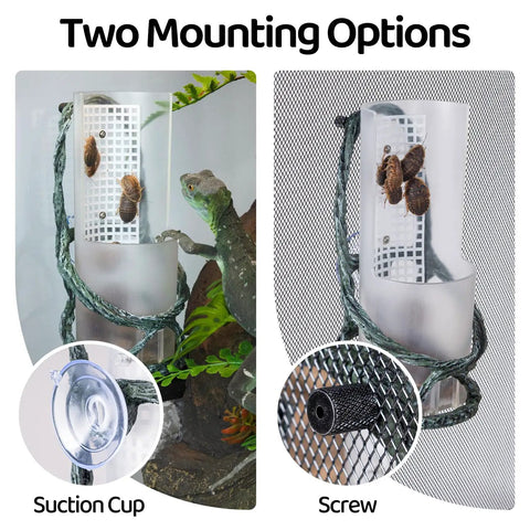 OIIBO Chameleon Feeding Bowl with suction cup and screw options, showing chameleons and insects inside a terrarium.