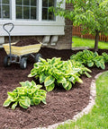 Garden with mulch and plants, featuring Heavy Duty Weed Barrier Landscape Fabric 3.2oz Premium Ground Cover Mat installed.