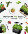 All In One Indoor Hydroponic Seed Pod Kit For Home Growers With 7 Pods And 350 Plus Seeds For Strawberry Tomato Cucumber Pea And Beet