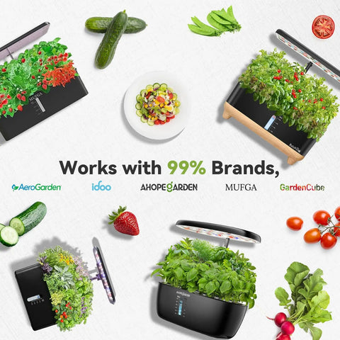 All In One Indoor Hydroponic Seed Pod Kit For Home Growers With 7 Pods And 350 Plus Seeds For Strawberry Tomato Cucumber Pea And Beet