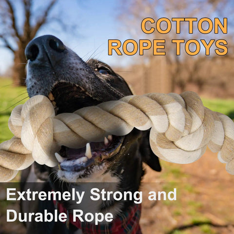 Dog playing with Indestructible Rope Toy For Heavy Chewers, 3 Feet Long With 5 Knots, Tough Cotton Tug Of War Chew Toy.