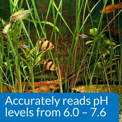 Totally Trustworthy Freshwater Aquarium PH Test Kit Delivering 250 Hassle Free Reads To Keep Your Tank Legit And Your Fin Crew Absolutely Thriving Includes Sturdy Tube And Quick Reference Chart shows vibrant fish in a lush aquarium with plants, indicating pH levels from 6.0 to 7.6.