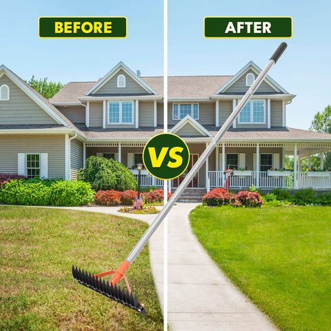 Must Have Thatch Rake For Lawns 18 Sharp Tempered Spring Steel Tines With 62.5 Inch Adjustable Stainless Steel Handle Heavy Duty Dethatching Rake For Dead Grass Yard Care Garden Lawn Maintenance shown in a before and after comparison on a lawn.