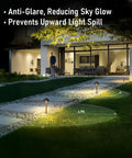 Night scene showcasing 12-Pack Low Voltage Landscape Path Lights, 3W Cast Aluminum, illuminating yard path