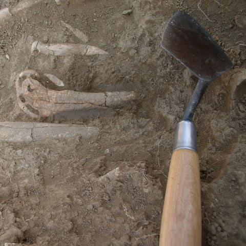 Archaeology Pointing Trowel 4 x 2 Inch London Pattern Blade Pro Grade High Carbon Steel Wood Handle Made in the USA in use