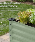 Galvanized Raised Garden Bed 48 By 24 By 30 Inches in sage green with plants growing in backyard garden.