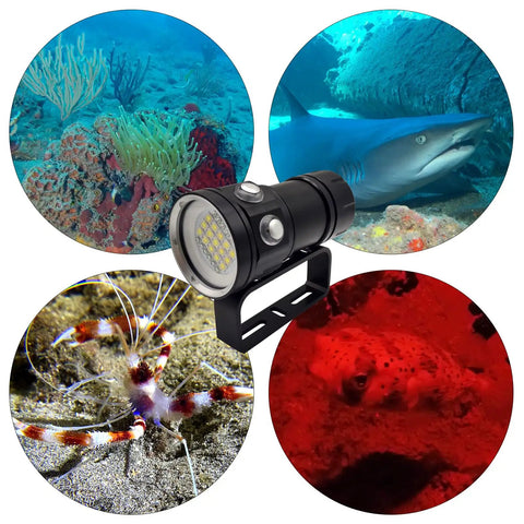 Beast Mode Bright 18000 Lumen Diving Flashlight Waterproof To 100 Meters illuminating underwater scenes with coral, shark, shrimp.