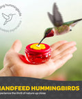 Set Of 2 Mini Glass Hummingbird Feeders With Window Mount Base For Handheld Or Tabletop Use Outdoors Holds 1 Oz Red And Yellow Flower Attractors For Grab And Go Bird Watching And Quick Feeding in hand with feeding hummingbird.