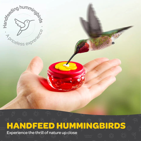 Set Of 2 Mini Glass Hummingbird Feeders With Window Mount Base For Handheld Or Tabletop Use Outdoors Holds 1 Oz Red And Yellow Flower Attractors For Grab And Go Bird Watching And Quick Feeding in hand with feeding hummingbird.