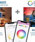 Smart A19 LED Bulb 60W Equivalent Tunable White And Color Changing 2.4 GHz WiFi Bluetooth ambient settings
