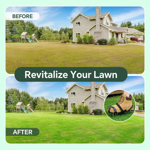 Before and after lawn image with a close-up of Flexible Lawn Aerator Shoes With Adjustable Straps And Durable Spikes For Easy Garden Aeration