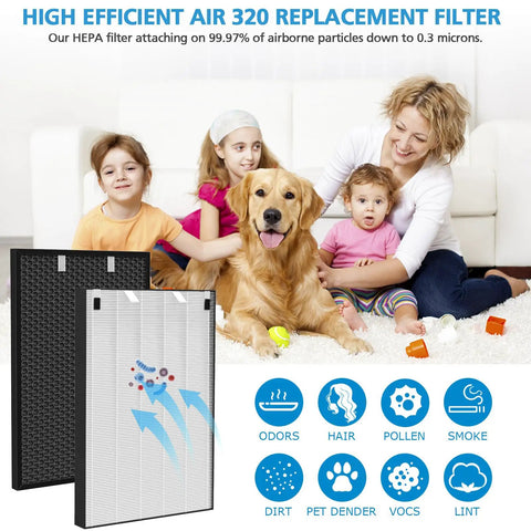 Air 320 Replacement Filter Kit For Air 220 And Air 320 With HEPA Filter 2678 Pre Filter And Activated Carbon 2677 in family setting