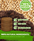Image of non-toxic, pet-safe Indoor Cat Grass Kit 3 Pack Quick Grow With Eco Friendly Biodegradable Pots Soil And Wheatgrass Seeds.