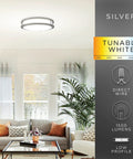 Dual Head Flush Mount LED Ceiling Light Fixture Black Modern Farmhouse Hallway Lighting in a stylish living room setting.