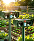 Two Pack Solar Ultrasonic Animal Repeller For Garden Outdoor Waterproof IP65 Motion Sensor Deterrent Keeps Cats Squirrels Raccoons Rabbits Foxes Dogs Skunks Away Without Harm. Two green solar stakes in raised garden beds