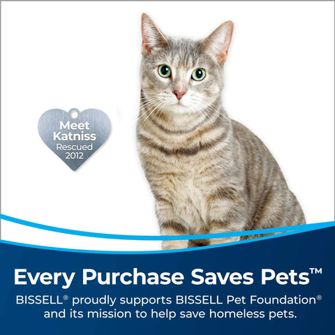 Tabby cat with heart-shaped ID tag reading 'Meet Katniss Rescued 2012,' BISSELL campaign 'Every Purchase Saves Pets'.