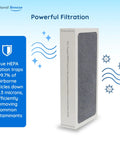 TiO2 Treated HEPA Filter Replacement For Electrolux Aerus Guardian Air Purifiers That Keeps It Fresh With True HEPA 4 Step Filtration