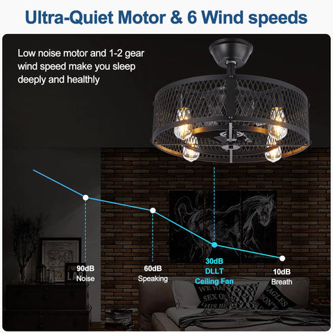 20 Inch Caged Ceiling Fan with Light Remote Dope Industrial Farmhouse Style Black with 6 Speeds and Quiet Operation chart