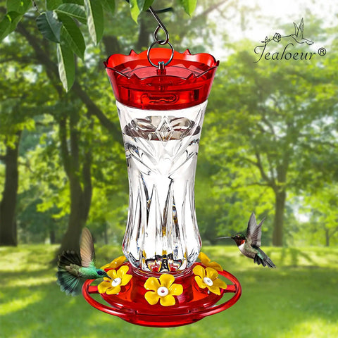 2 Pack Hummingbird Feeder For Outdoors Hanging, 18 Oz Capacity, Six Feeding Ports With Built In Ant Moat And Bee Guard, No Fuss Easy Clean, Durable Outdoor Garden Decor, Clear, in a garden setting with hummingbirds feeding.