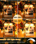 100Ft Outdoor G40 LED Globe String Lights Dimmable Waterproof Shatterproof Connectable Commercial Grade lighting display