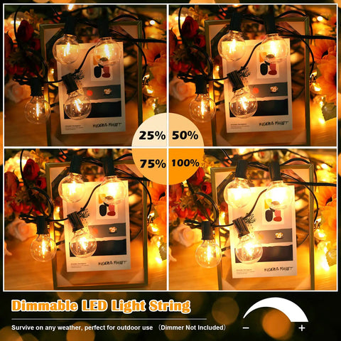 100Ft Outdoor G40 LED Globe String Lights Dimmable Waterproof Shatterproof Connectable Commercial Grade lighting display