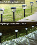 8 Pack Solar Pathway Lights With Two Color Modes Warm White And Cool White Waterproof Outdoor Path Lighting For Yard Lawn Sidewalk Driveway