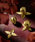 Solid Brass Gold Cabinet Knobs 4 Pack With Star Backplates displayed among flowers, showcasing brushed brass finish and modern design.