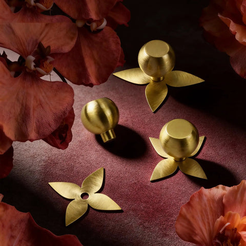 Solid Brass Gold Cabinet Knobs 4 Pack With Star Backplates displayed among flowers, showcasing brushed brass finish and modern design.