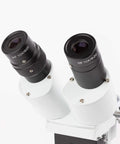 Pro Grade Binocular Stereo Microscope With Long Working Distance Boom Arm For Big Jobs Like Circuit Boards And Dental Appliances With Interchangeable WF10x And WF20x Eyepieces For Sharp Precise Inspection, close-up of WF10x and WF20x eyepieces